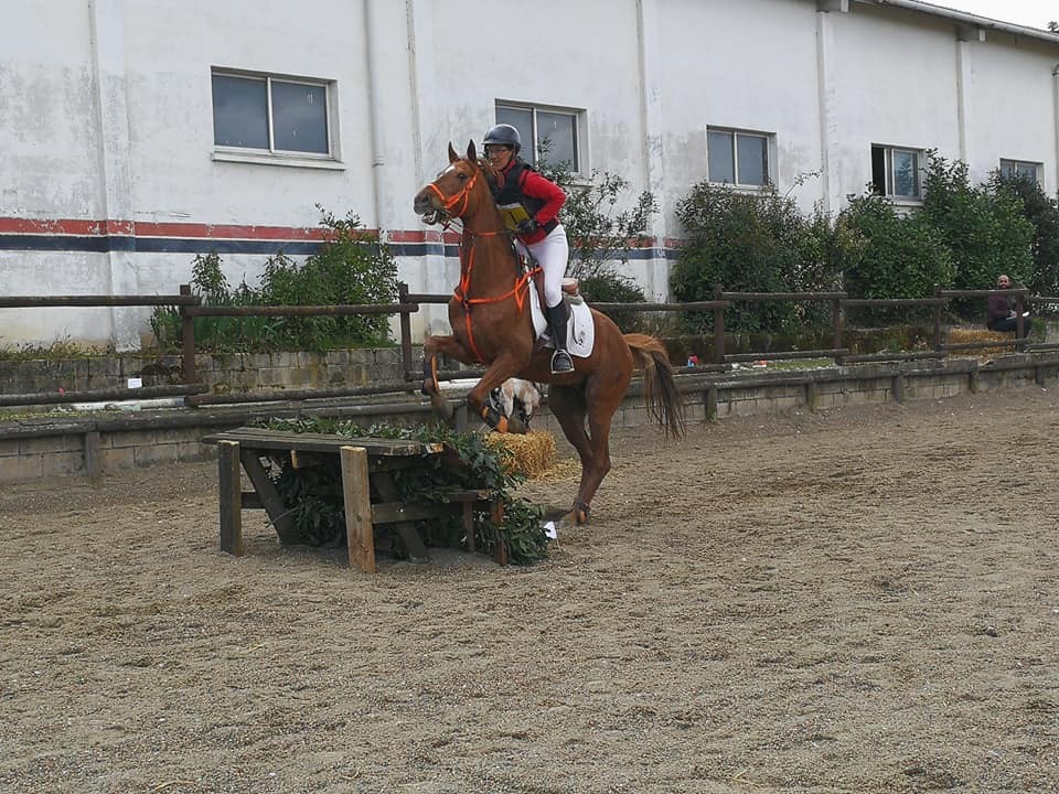 Resultados Concurso Nacional de Trec*** y Campeonato Navarro 2018